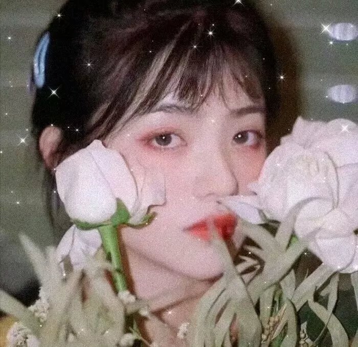 权力之子
