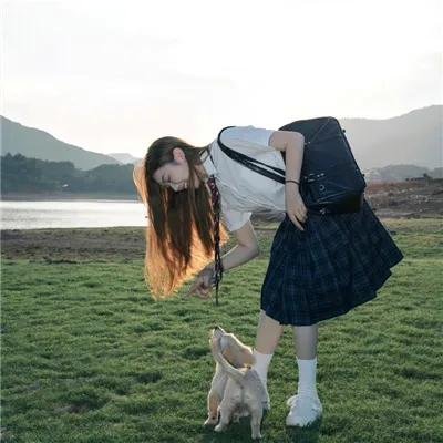 布查